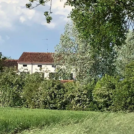 Viridarium