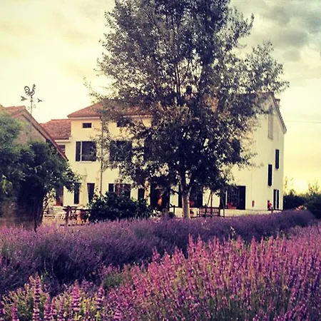 Farm stay Viridarium